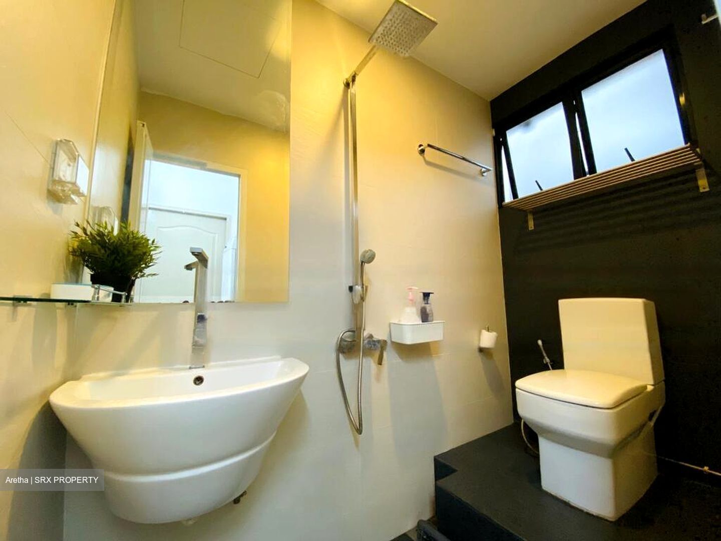 Emerald Hill Road (D9), Apartment #479749581